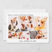 Huisdieren Modern Eenvoudig Aangepaste 6 Afbeeldin Feestdagenkaart (Voorkant)