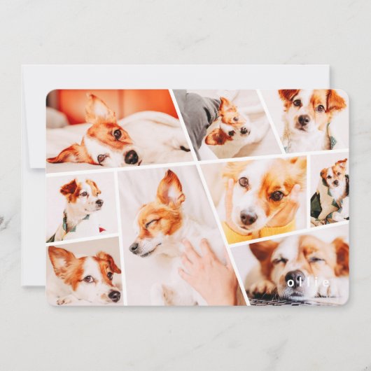 Huisdieren Modern Eenvoudig Op Maat 9 Foto's Colla Feestdagenkaart (Voorkant)