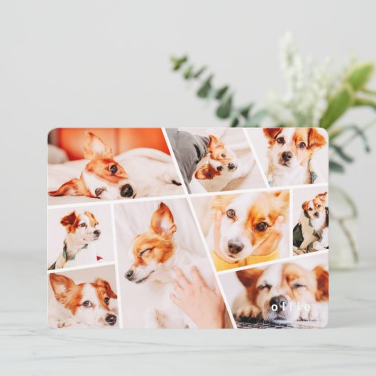 Huisdieren Modern Eenvoudig Op Maat 9 Foto's Colla Feestdagenkaart (Staand voorkant)