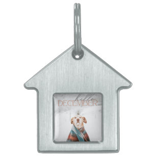  HUISDIEREN NAAMPLAATJE