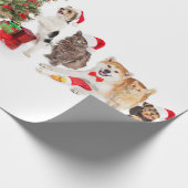 Huisdieren rond het kerstboominpakpapier cadeaupapier (Hoek)