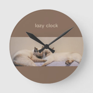 huisdieren Siamese katten Ronde Klok
