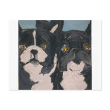 huisdieren van eric ginsburg