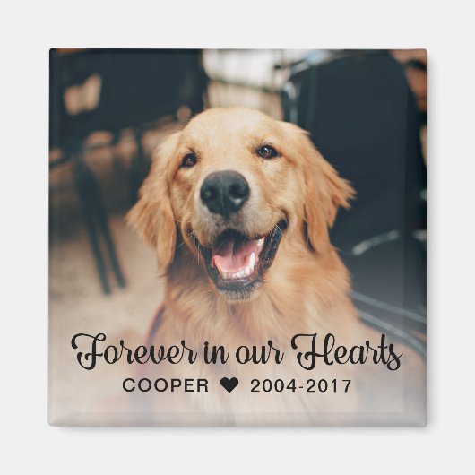 Huisdierengedenk-fotografiesympathie Magneet (Voorkant)