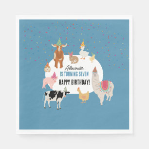 Huisdierentuin Feest Dieren Barnyard Verjaardag Jo Servet