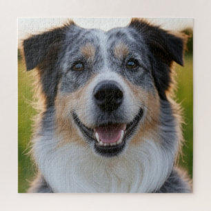Huisdierfoto Aanpassen Legpuzzel