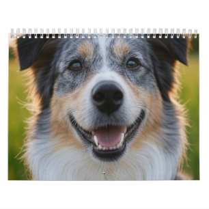Huisdierfoto aanpassen toevoegen kalender