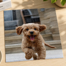 Huisdierfoto | Foto-upload Schattige Aardige Hond