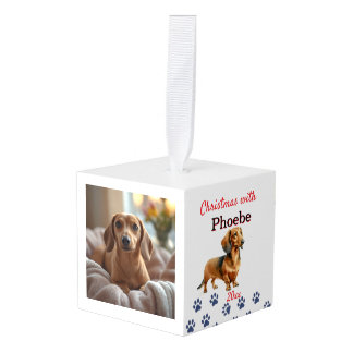Huisdierfoto met kunst Dachshund personaliseren Decoratie