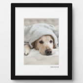 Huisdierfoto | Modern Minimaal Zwart-Wit Frame Hui Fotoplaat (Voorkant)