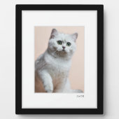 Huisdierfoto | Modern Minimaal Zwart-Wit Frame Hui Fotoplaat (Voorkant)