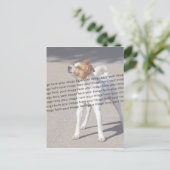 Huisdierfoto ✨ Mooie op maat gemaakte foto Briefkaart (Staand voorkant)