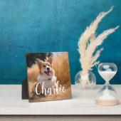 Huisdierfoto op maat fotoplaat (Insitu)