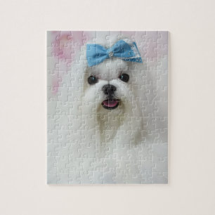 Huisdierfoto Uploaden Leuke Aardige Hond Puzzel Pr