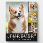 Huisdierherdenking 4 Foto ONVERGETELIJK IN ONZE HA Fotoplaat (Voorkant)