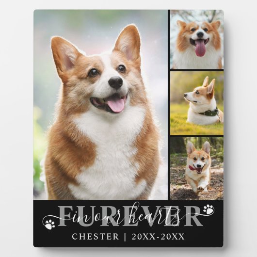 Huisdierherdenking 4 Foto ONVERGETELIJK IN ONZE HA Fotoplaat (Voorkant)