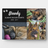 Huisdierherdenking | 5 foto's fotoplaat (voorkant)