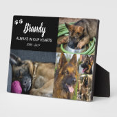 Huisdierherdenking | 5 foto's fotoplaat (Zijkant)