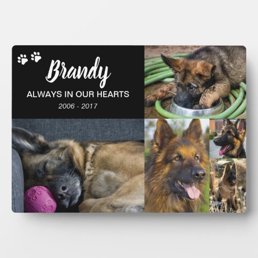 Huisdierherdenking | 5 foto's ter nagedachtenis fotoplaat (voorkant)