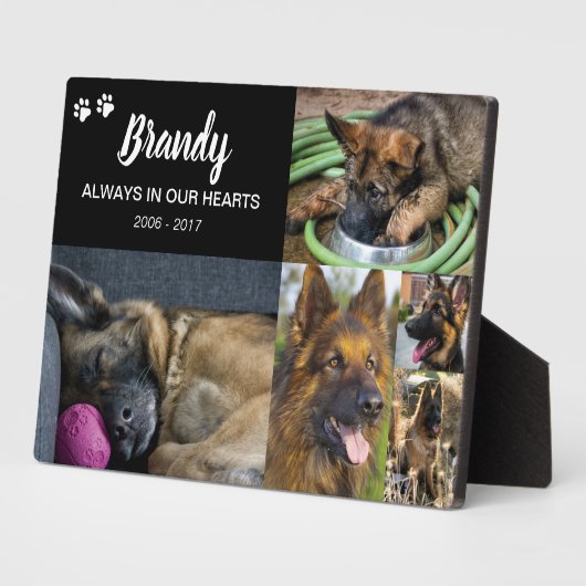 Huisdierherdenking | 5 foto's ter nagedachtenis fotoplaat (Zijkant)