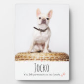 Huisdierherdenking Aandenken aan huisdierverlies P Fotoplaat (voorkant)