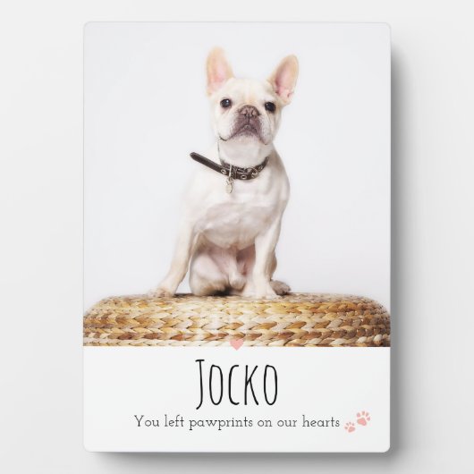 Huisdierherdenking Aandenken aan huisdierverlies P Fotoplaat (voorkant)