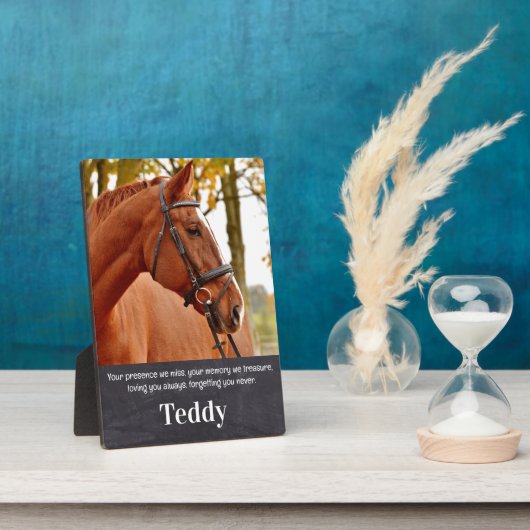 Huisdierherdenking Aandenken Aangepaste huisdier P Fotoplaat (Zijkant)