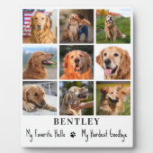 Huisdierherdenking Aangepast 9 Foto Collage Kat Ho Fotoplaat (Voorkant)