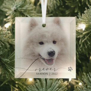 Huisdierherdenking Aangepaste foto hond pootafdr Glas Ornament