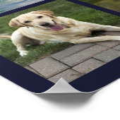 Huisdierherdenking Aangepaste Hond 12 Foto's Poster (Hoek)