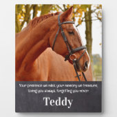 Huisdierherdenking Aangepaste Paard Foto Fotoplaat (Voorkant)