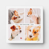 Huisdierherdenking Beste Hond Ooit Moderne Fotocol Fotoplaat (Voorkant)