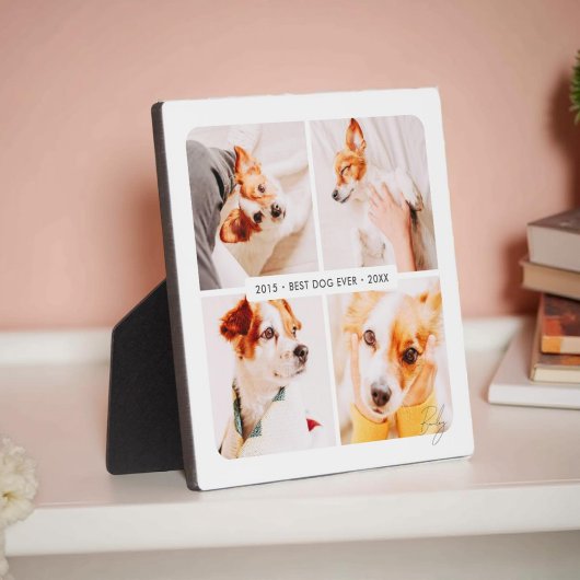 Huisdierherdenking Beste Hond Ooit Moderne Fotocol Fotoplaat