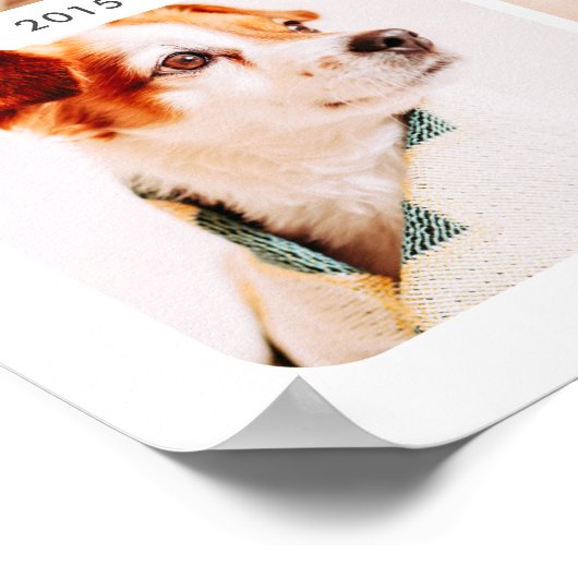 Huisdierherdenking Beste Hond Ooit Moderne Fotocol Poster (Hoek)