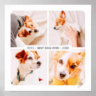 Huisdierherdenking Beste Hond Ooit Moderne Fotocol Poster