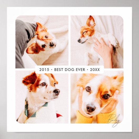 Huisdierherdenking Beste Hond Ooit Moderne Fotocol Poster (Voorkant)