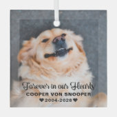 Huisdierherdenking Condoleance Foto Glas Ornament (Voorkant)