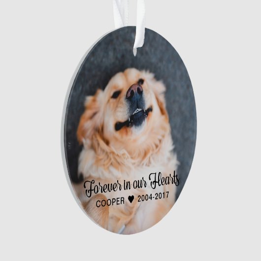 Huisdierherdenking | Condoleance | Sieraal met 2 f Ornament (voorkant)