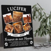 Huisdierherdenking Fotoplaat