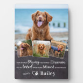 Huisdierherdenking Gedicht voor het verlies van ee Fotoplaat (voorkant)