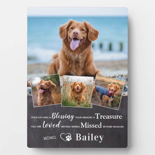 Huisdierherdenking Gedicht voor het verlies van ee Fotoplaat (voorkant)