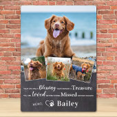 Huisdierherdenking Gedicht voor het verlies van ee Fotoplaat