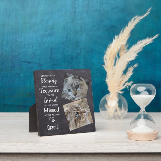 Huisdierherdenking - Herinneringsfoto kat Fotoplaat (Insitu)