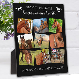 Huisdierherdenking Hoofdafdrukken Paard Fotocollag Fotoplaat