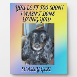 Huisdierherdenking Je Bent Te Vroeg Weggegaan Foto Fotoplaat