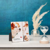 Huisdierherdenking Moderne Eenvoudige Geometrische Fotoplaat (Insitu)