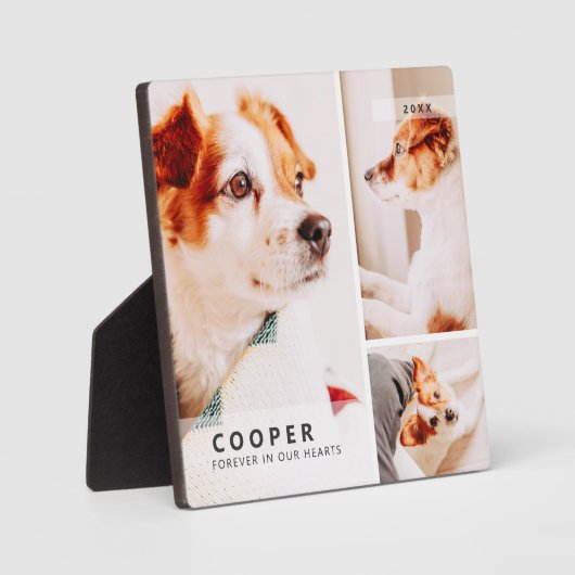 Huisdierherdenking Moderne Eenvoudige Geometrische Fotoplaat (Voorkant)