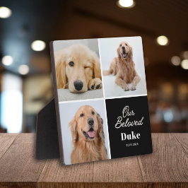 Huisdierherdenking Onze Geliefde Hond 3 Foto Aande Fotoplaat