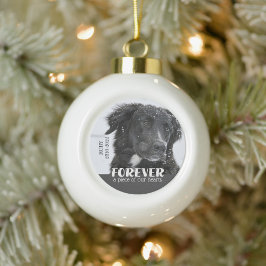 Huisdierherdenking Sympathie Foto Keramische Bal Ornament