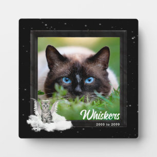 Huisdierherdenking Tabby Kat Zilveren Strepen Foto Fotoplaat